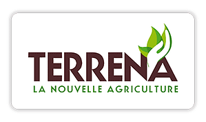 TERRENA Logo